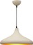 Mylights Retro Rustik Modern Spor Metal Krem Sarkıt Avize 35 cm 1