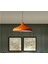 Mylights Metal Turuncu Sarkıt Avize Modern Spor Avize 35CM 2