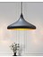 Mylights Modern Spor Metal Sarkıt Avize Mutfak Avize Cafe Avize 35 cm 1