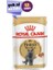 British Shorthair Yetişkin Kedi Konservesi 12x85gr (12li) 1
