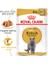 British Shorthair Yetişkin Kedi Konservesi 12x85gr (12li) 2