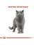 British Shorthair Yetişkin Kedi Konservesi 12x85gr (12li) 3