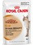 Intense Beauty Kedi Konservesi 85 Gr. 1