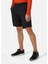 Hh Qd Shorts 10" Erkek Koyu Gri Şort 3