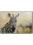 Zebra Kanvas Tablo 1
