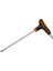 T Saplı Torx Alyan T 10X100 - Deliksiz 1