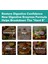 Digestive Enzymes Postbiotics With Tributyrin And 20 Digestive Enzymes Gut Colon 60 Kapsul 4