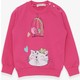  Renk Pembe