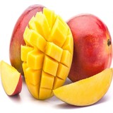 Mutlu Paket Tüplü Aşılı Tropikal Mango Fidanı