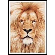 Beril Yamaç Design Studio Aslan Renkli Fotoğraf Poster