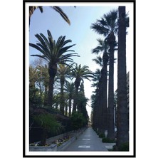 Beril Yamaç Design Studio Tropik Sokak Fotoğraf Poster