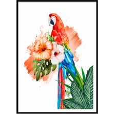 Beril Yamaç Design Studio Tropik Papağan İllüstrasyon Poster