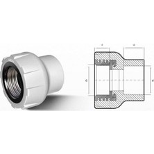 Fırat Pprc 25 mm-3/4" İç Dişli Rekor