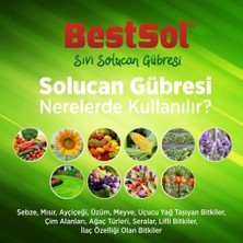 Bestsol Sıvı Solucan Gübresi 20 lt