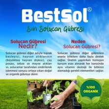 Bestsol Sıvı Solucan Gübresi 20 lt