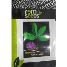 Rem Seeds Küstüm Çiçeği Tohumu 30'lu