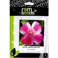 Rem Seeds Yer Açelyası Çiçek Tohumu 50'li