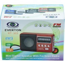 Everton RT-303 Müzik Kutusu Usb-Radyo