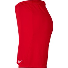 Nike Dry Park Iıı Nb K Erkek Şort BV6855-657