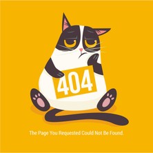 Sticker Fabrikası 404 Eror Sayfası Kedi Sticker 00250 10 x 10 cm Renkli