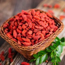 Mutlu Paket Tüplü Kırmızı Goji Berry Fidanı