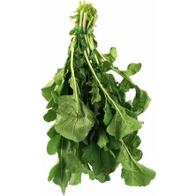 Mutlu Paket Geniş Yapraklı Roka Tohumu 500 gr