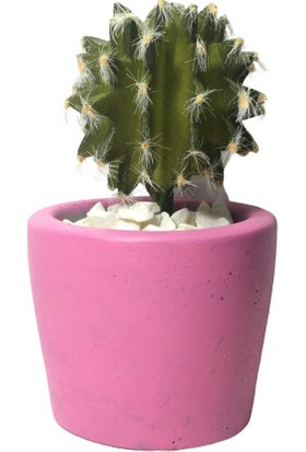 Cactuscups Beton Saksı Sukulent Saksısı Kaktüs Saksısı
