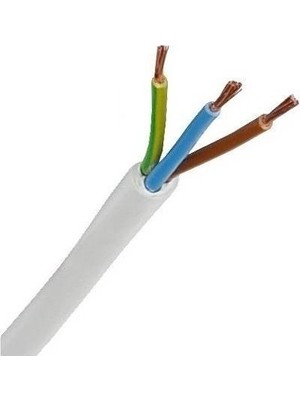 Öznur 3 X 2,5 TTR Kablo 5 m Beyaz Tam Bakır