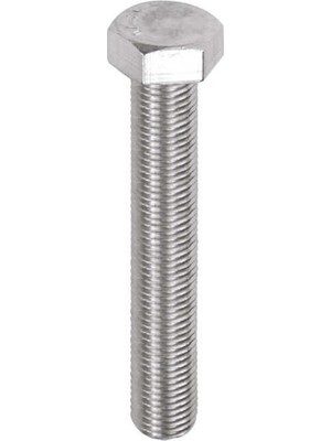 Norm Çelik Civata Altı Köşe 6 x 30 mm 8.8 Tam Paso 933 Beyaz 20'li