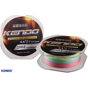 Dynema 8 Örgü  250MT Multıcolour