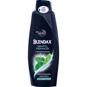 Erkekler İçin Mentollü Şampuan 550 ml