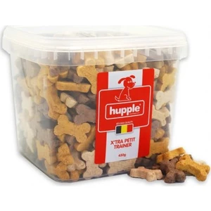 Bisküvi Kutusu Extra Petit Trainer 450 gr