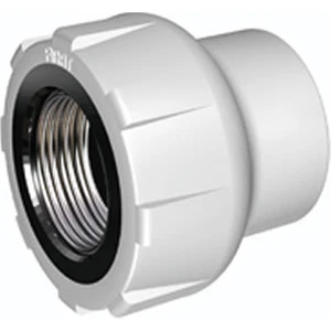 Pprc 25 mm-3/4" İç Dişli Rekor