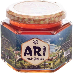Arı Balevi Artvin Çiçek Balı 500 gr