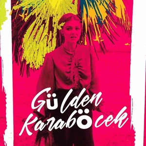 Gülden Karaböcek ‎-  Kayıtları ve Remixleri - CD