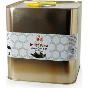 Fethiye Balevi Çam Balı Teneke 10 kg