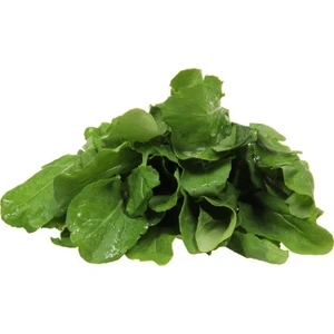 Seed Roka Tohumu Toros İri Yaprak 100 gr