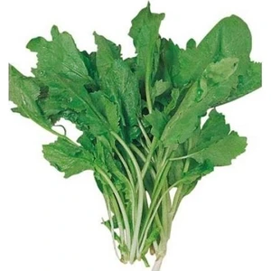 Seeds Tere Tohumu Toros Yeşili 25 gr