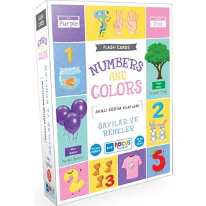 Blue Focus Sayılar ve Renkler (Numbers And Colors)