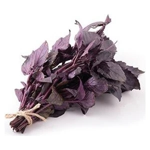 Seeds Reyhan Tohumu Fesleğen Mor Renk 1 gr 1250'li