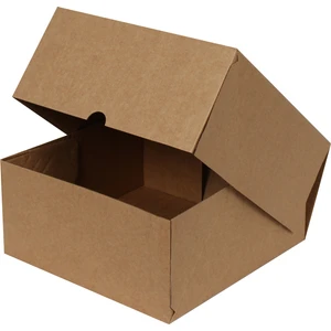 Kraft E-Ticaret Kargo Kutusu 17x17x6 cm 25'li