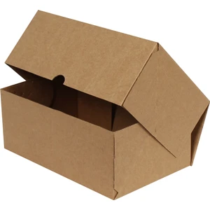 Kraft E-Ticaret Kargo Kutusu 25x16x10 cm 25'li