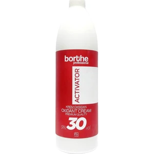 Borthe Professional Profesyonel Krem Oksidan 30 Vol %9 1000 ml