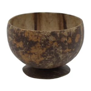 Hindistan Cevizi Kase