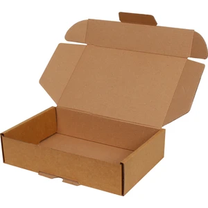 Kraft E-Ticaret Kargo Kutusu 24x16,5x6 cm 25'li