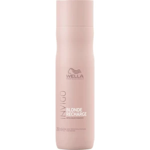 Professionals Invigo Blonde Recharge Renk Canlandırıcı Şampuan 250 ml