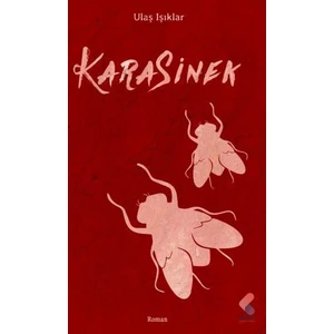 Kara Sinek - Ulaş Işıklar