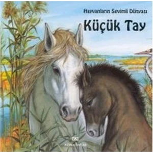Küçük Tay (Ciltli) - Marie Duval
