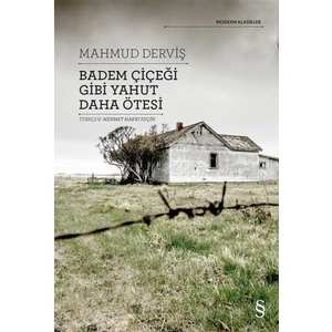 Badem Çiçeği Gibi Yahut Daha Ötesi - Mahmud Derviş