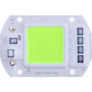 Yeşil Projektör Cob LED Driver Çipli 220 V 50 W